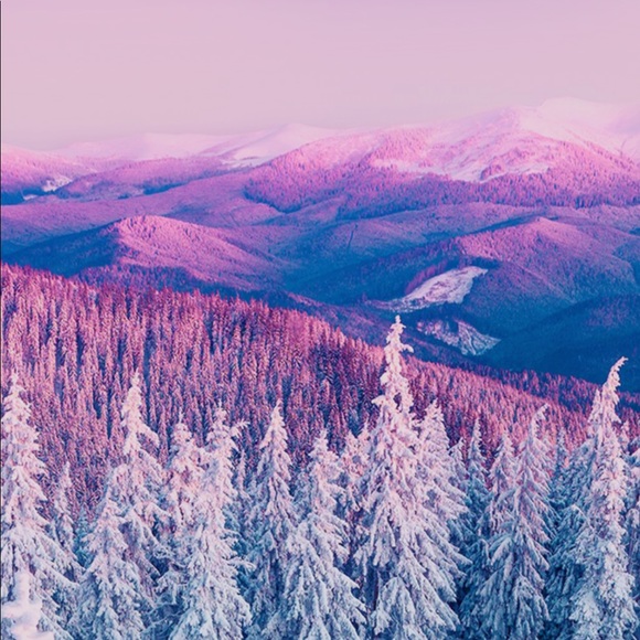 Meet your Posher, Nick - Picture 1 of 1